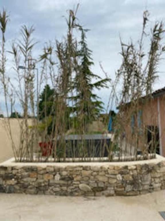 Villa Spa Piscine : Entre Mer Et Montagne Foissac  Exteriér fotografie